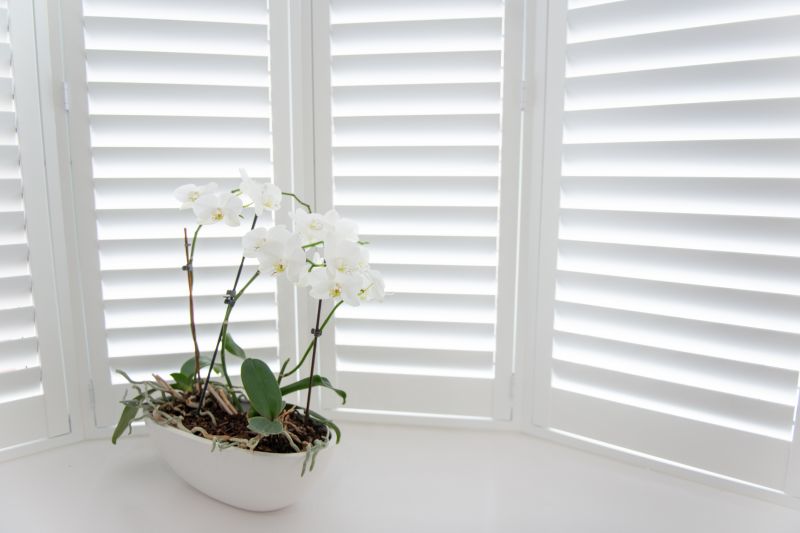 Exterior Shutters Installation in Kansas City, KS